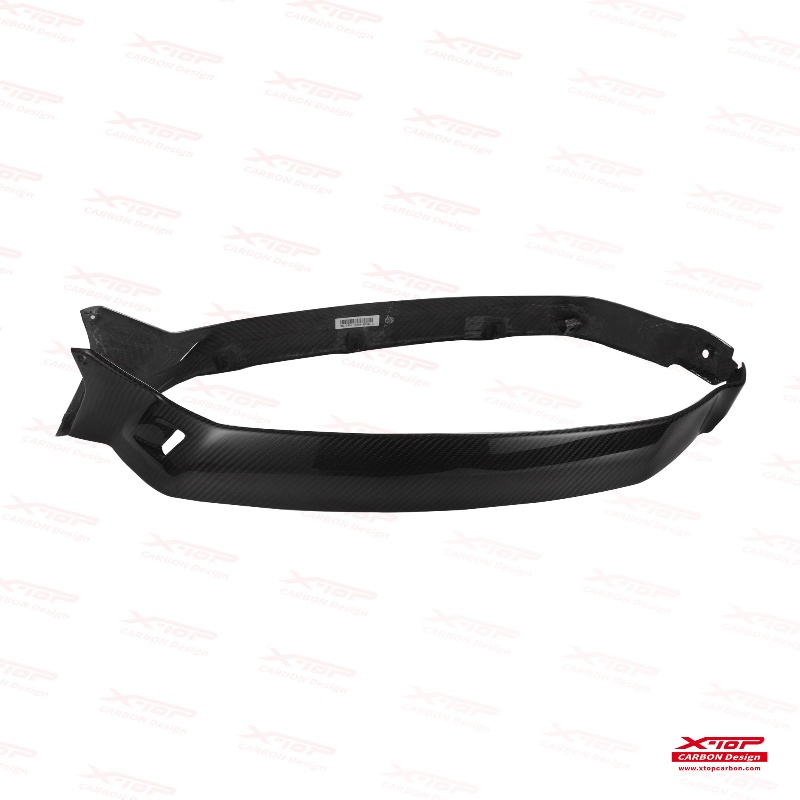 X-TOP カーボンボディガードGTS／GTV300